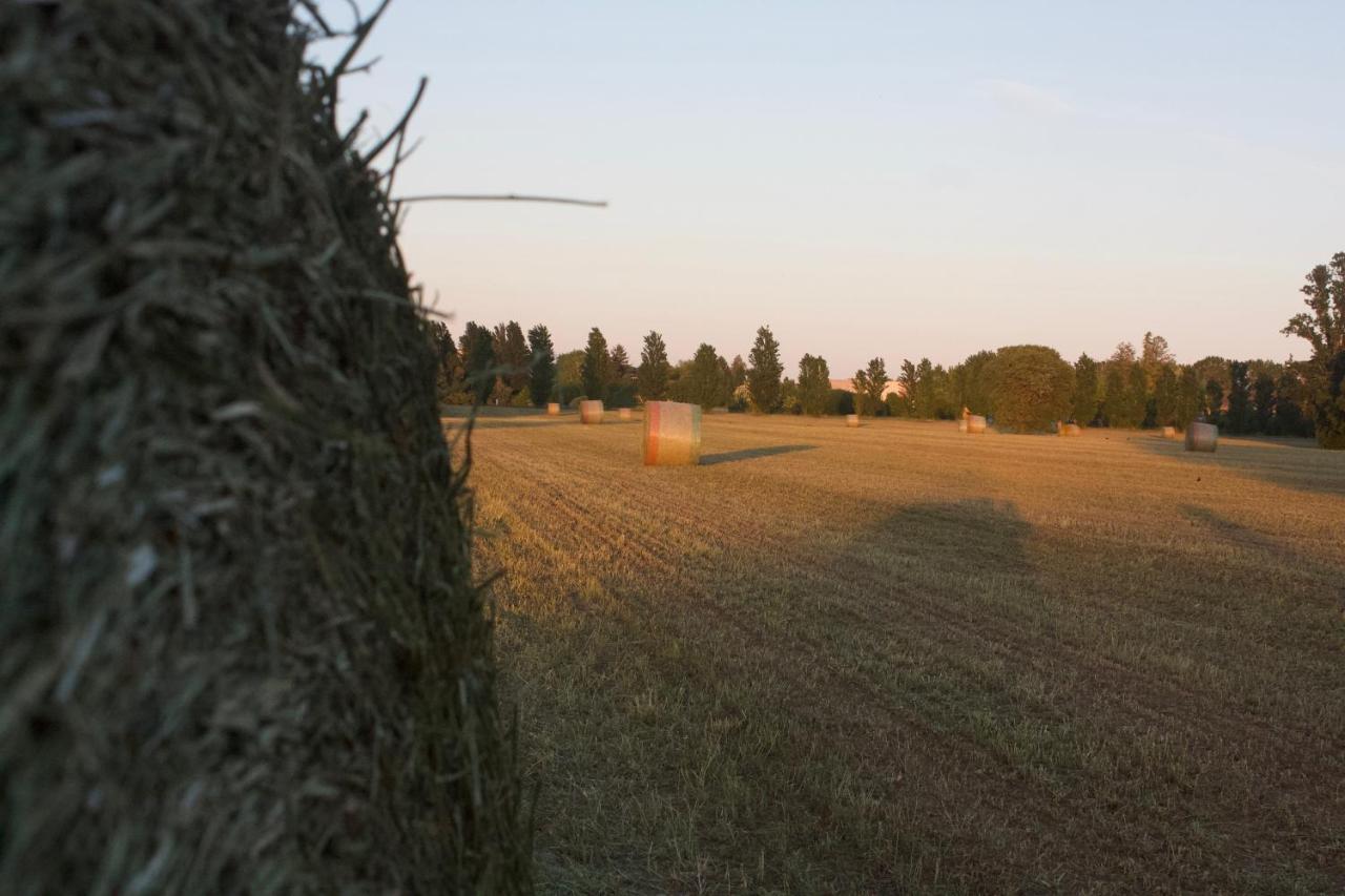 Il Gesuita Mantova Eksteriør bilde